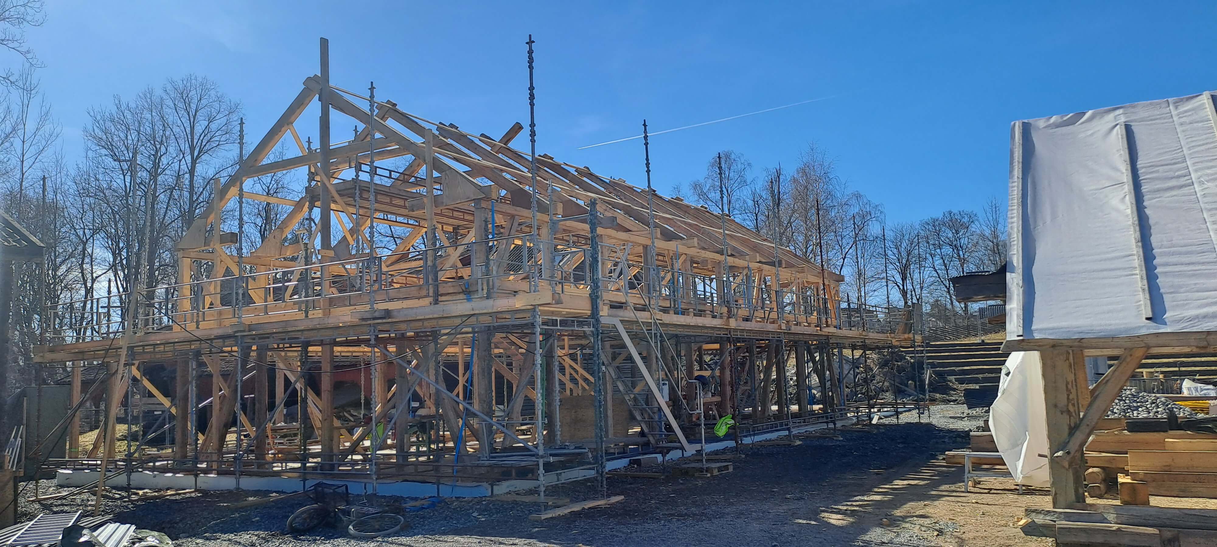 Trekonstruksjon i naturlandskap