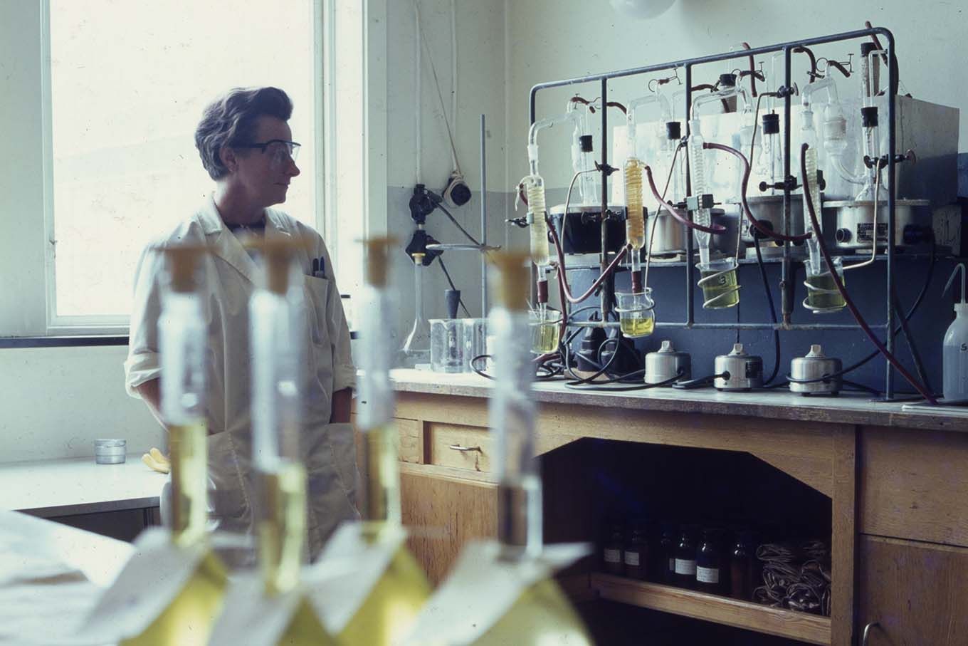 En forsker studerer et oppsett med reagensrør, glass og slanger. Foto.
