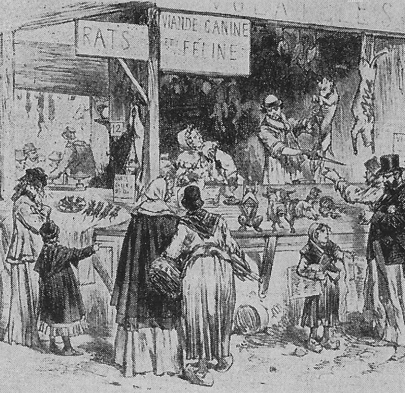 Drawing of market with dead dogs for sale