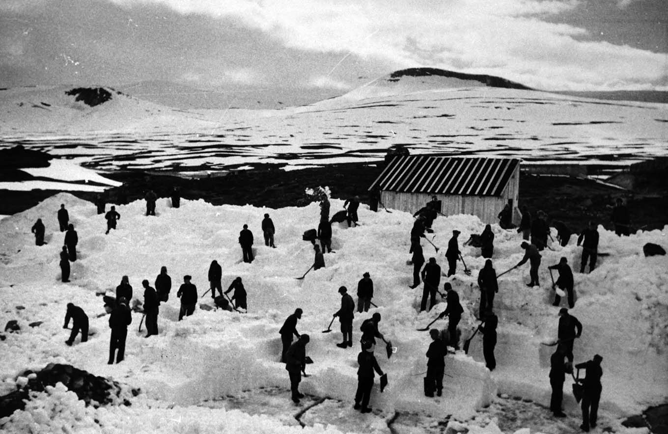 Many men dig in the snow on Saltfjellet. Photo. 