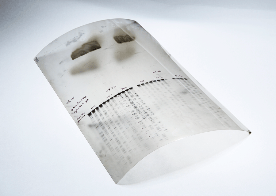 Transparent ark med DNA-sekvens