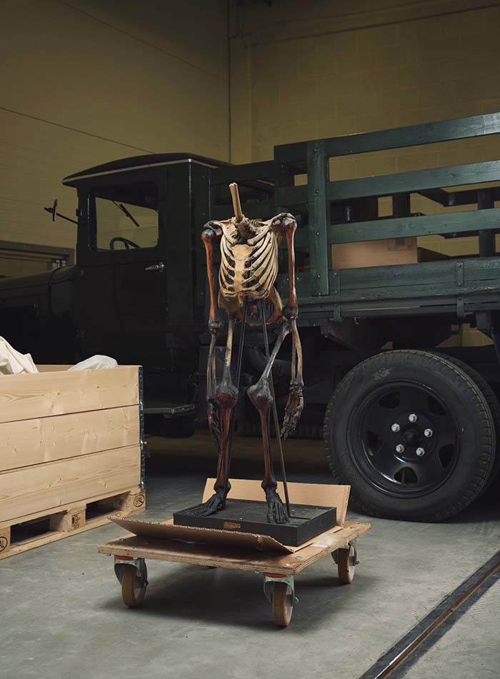 Old shell on a trolley in front of an old truck.