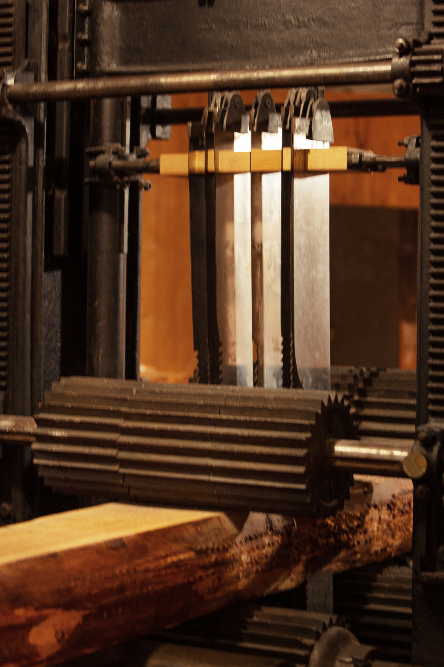 Frame saw cutting a log
