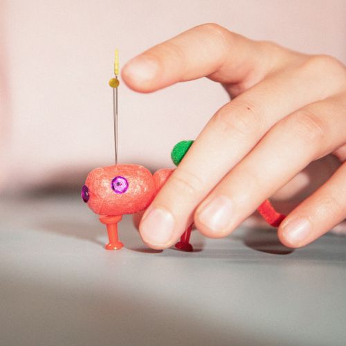 For the teaching program Inheritance and genetics