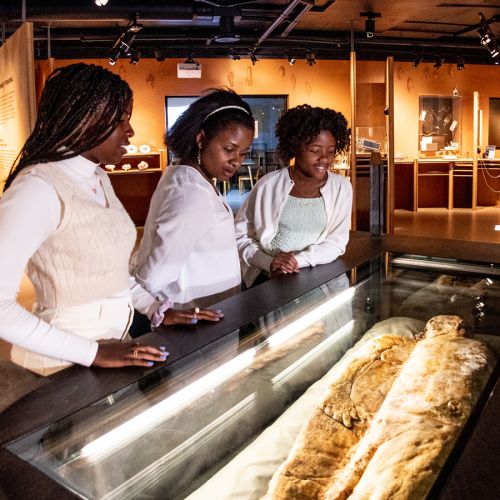 Til Nasjonalt Medisinsk Museum