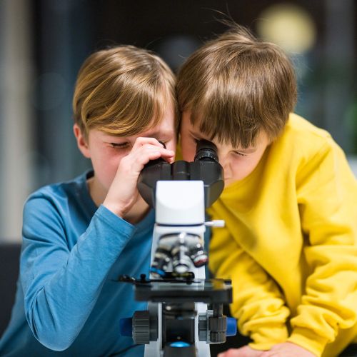 to unge gutter ser i mikroskop