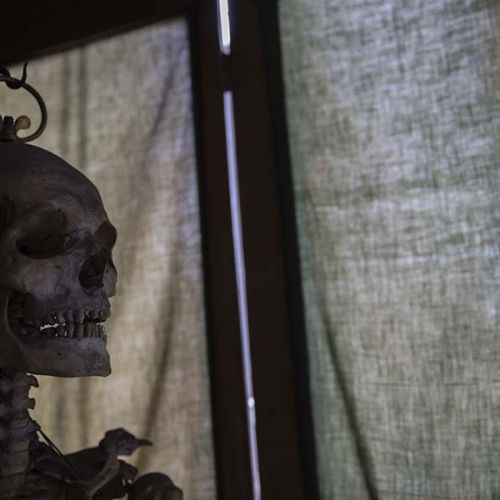 To the History of the National Medical Museum