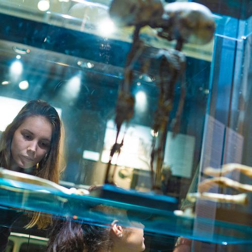 For the teaching program The assignment