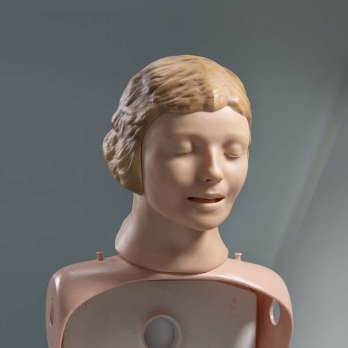 Photo of a model of a human being