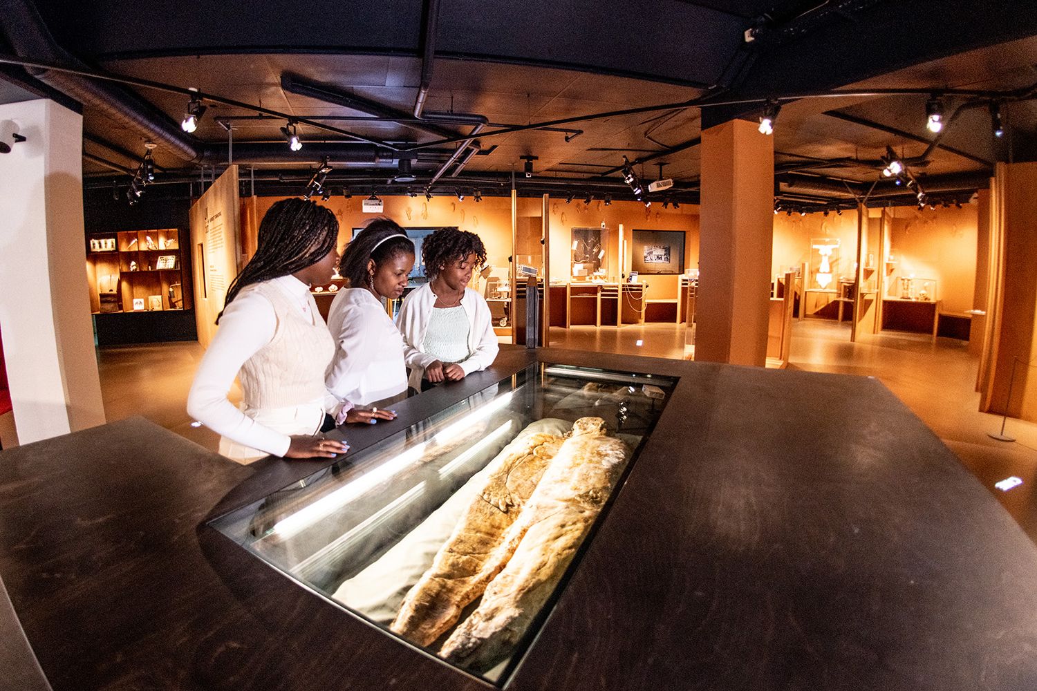 Til Nasjonalt Medisinsk Museum