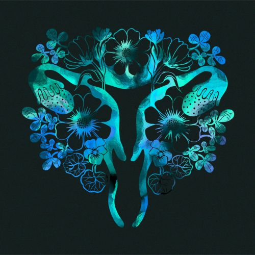 To the Women's Health Festival