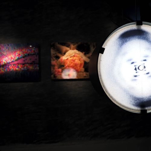 To the exhibition Invisible World