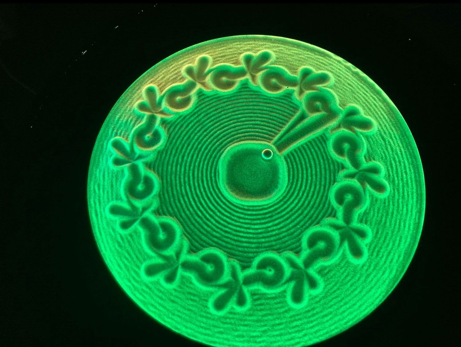 Toddler jumbo test tube. Photo.  