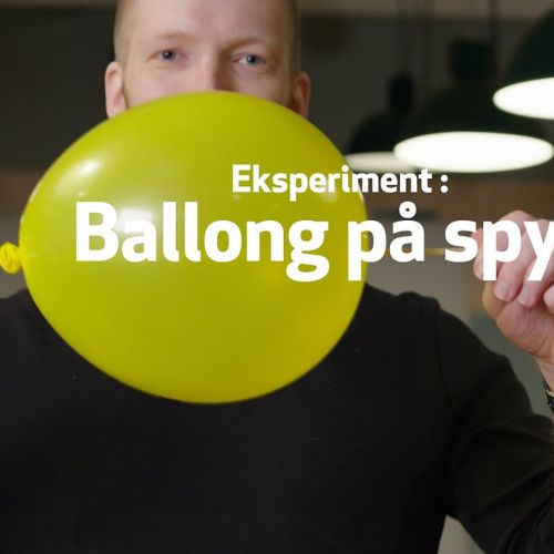 Åtte pingviner på et isfjell. Grafikk