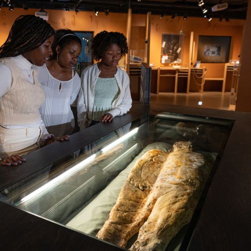 Jenter som ser på en mumie i Nasjonalt medisinsk museum