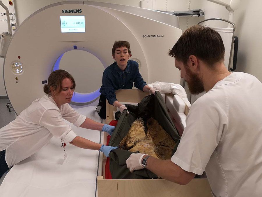 En mann og to kvinner løfter et gammelt like fra en kiste over i en medisinsk skanner.