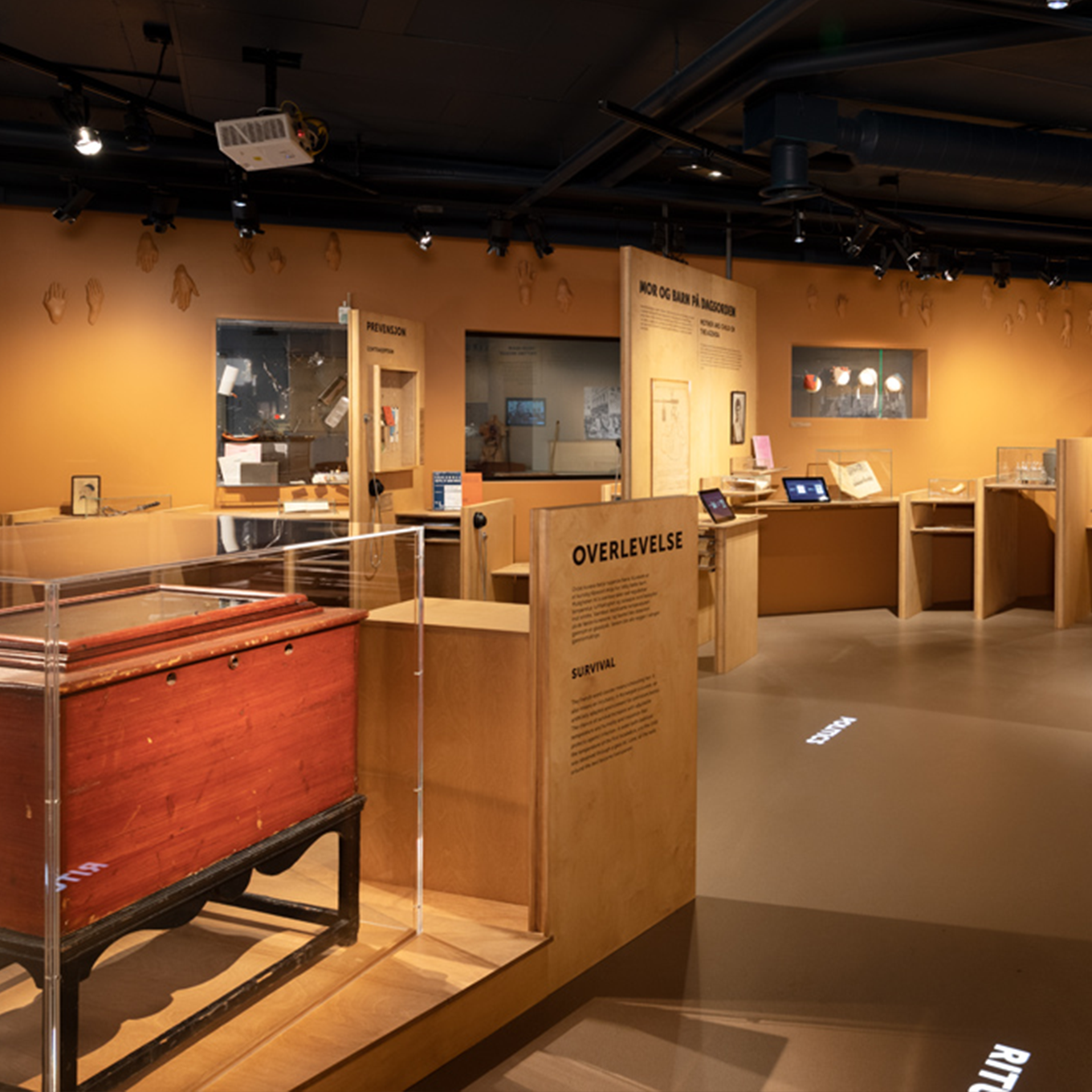 Toddler jumbo test tube. Photo.  