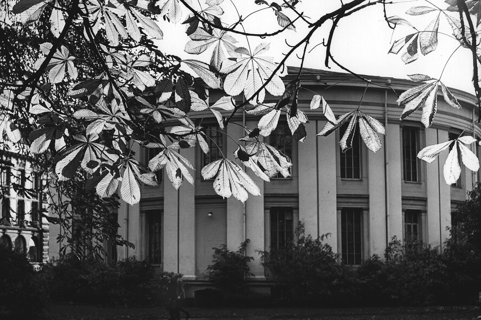 University of Oslo UiO