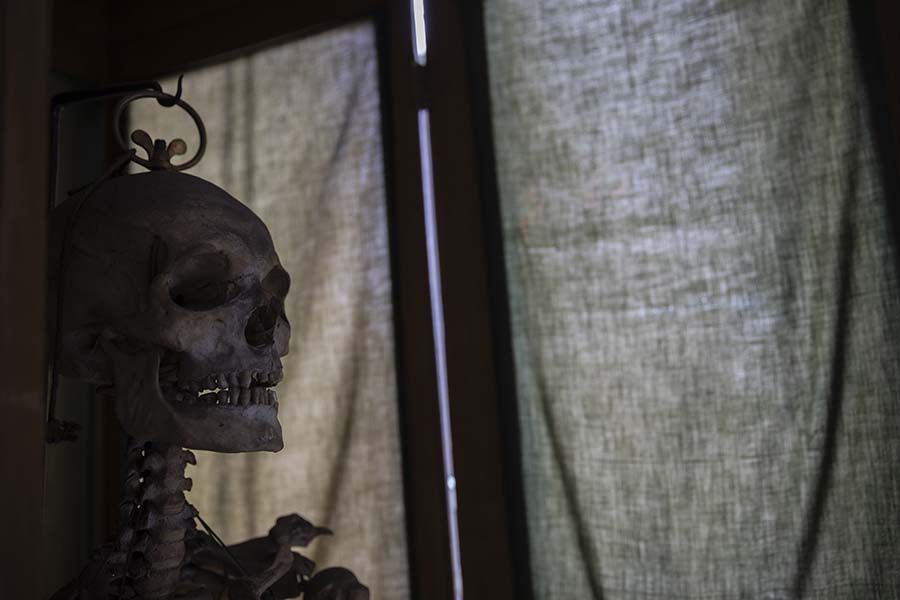 En skjelett foran et lerret. Foto.