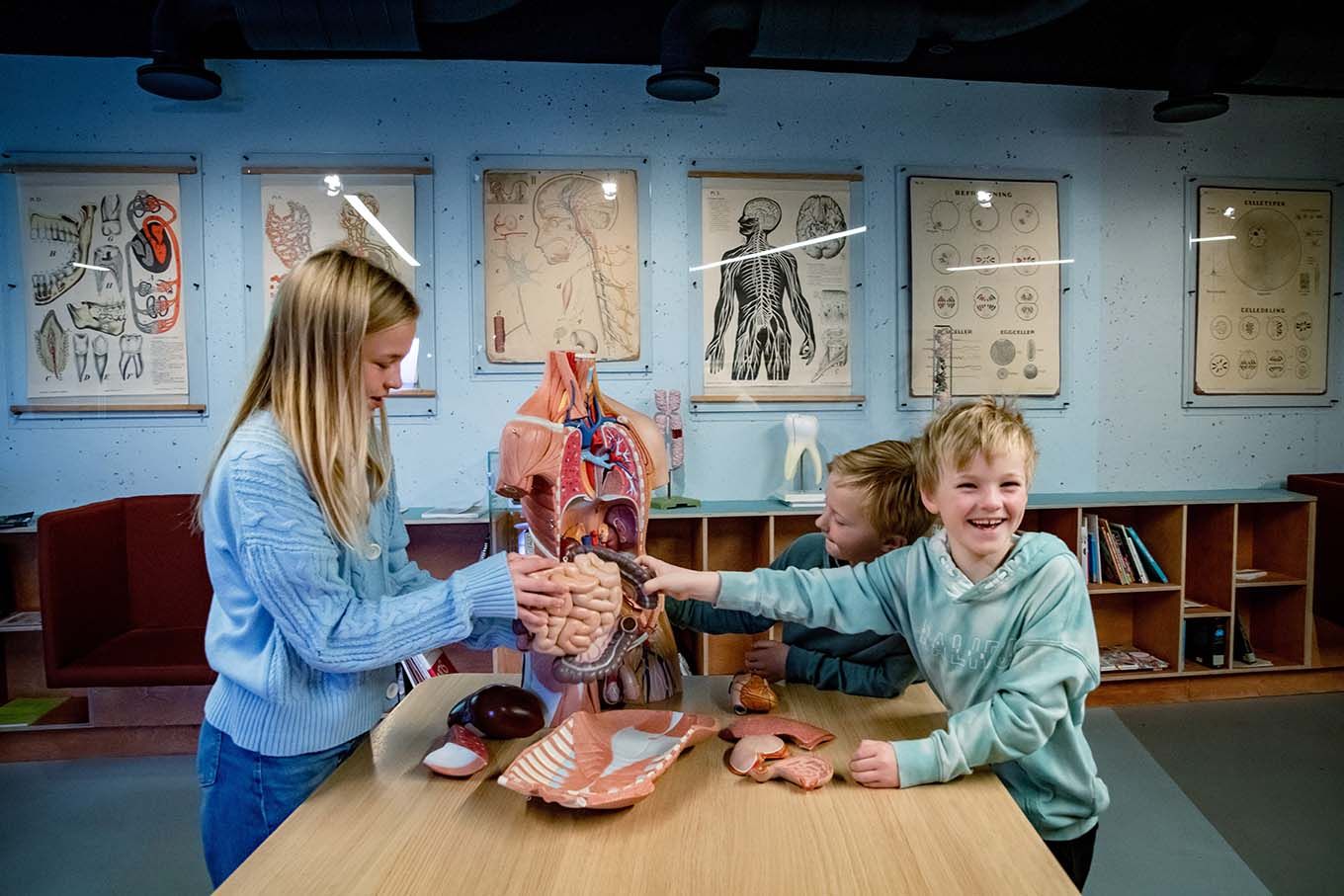 To barn leker med en anatomiskulptur
